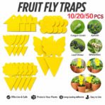 Fruit Fly Traps Yellow Fungus Gnat Killer Double-sided Sticky Fruit