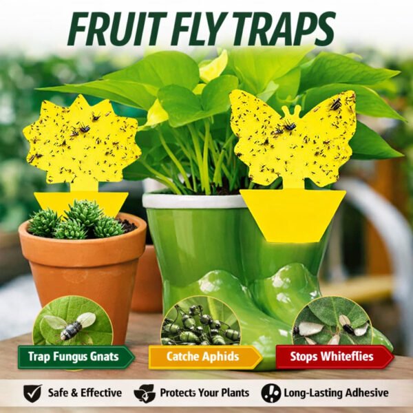 Fruit Fly Traps Yellow Fungus Gnat Killer Double-sided Sticky Fruit