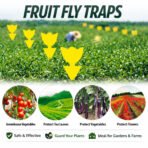 Fruit Fly Traps Yellow Fungus Gnat Killer Double-sided Sticky Fruit