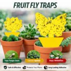 Fruit Fly Traps Yellow Fungus Gnat Killer Double-sided Sticky Fruit