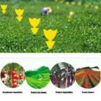 Fruit Fly Traps Yellow Fungus Gnat Killer Double-sided Sticky Fruit
