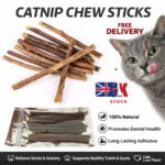 Cat Nip Sticks Dried Silvervine Dental Chew Toy Teeth Clean