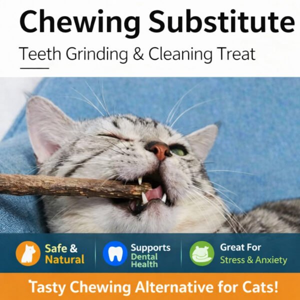 Cat Nip Sticks Dried Silvervine Dental Chew Toy Teeth Clean