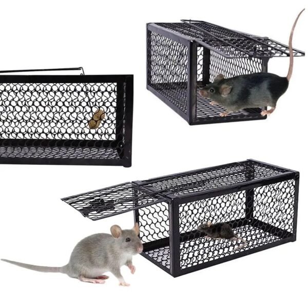Rat Trap Mouse Catcher Humane Cage Live Animal Rodent Mice Indoor