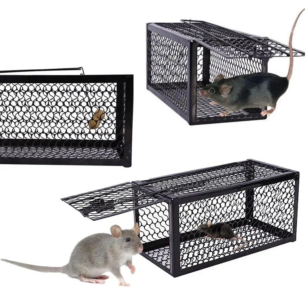 Rat Trap Mouse Catcher Humane Cage Live Animal Rodent Mice Indoor