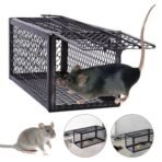 Rat Trap Mouse Catcher Humane Cage Live Animal Rodent Mice Indoor